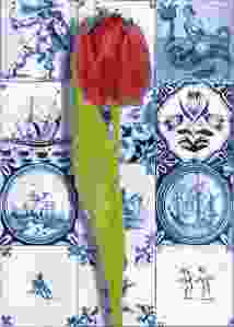 Postcard Tiles with Tulip