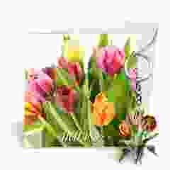 Postkaart "Lente Tulpen"