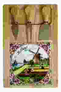 Kaasplank met mesjes, Hollands Landschap Kleur