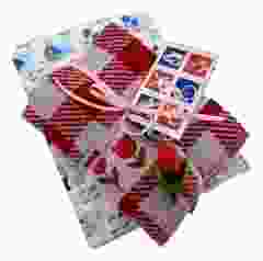 Keukenset Rode Tulpen