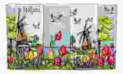 Cadeaudoos 2 mokken Kleurrijk Holland