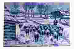 Tegeltableau "Kudde Schapen" - Mauve