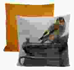 Kussensloop "Het Puttertje, Fabritius" (45 cm x 45 cm) 