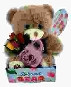 Love Holland Tulip Bear 