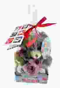 Love Holland Tulip Bear 