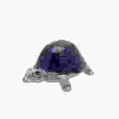 Miniatuur Schildpad