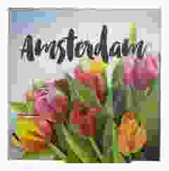 Magneet "Amsterdamse Houten Tulpen"