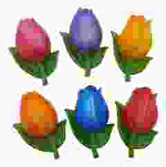 Set van 6 Grote Tulp Magneten 'Holland', Groot