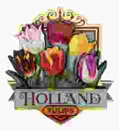 Glanzende Tulpen Magneet Holland Groen 