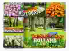 Koelkastmagneet "Tulpen Holland"