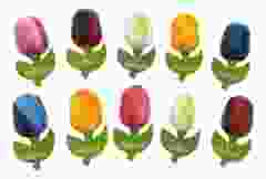 Setje Tulp Magneten, 10 stuks