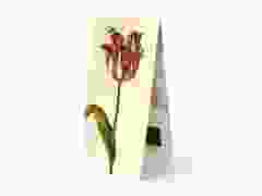 Boekenlegger "Rode Tulp, Jacob Marrell"