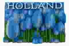Licht Blauwe Tulpen Magneet Holland - 3D