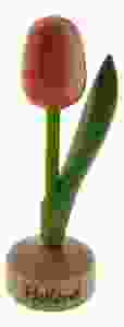 Kleine Tulp Holland - Oranje