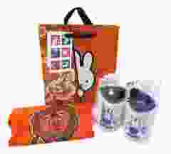 Baby Romper "Oranje Leeuw" Cadeauset met slofjes