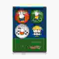 Nijntje Doosje met Vier Glasmagneten