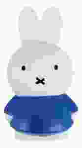 Nijntje Spaarpot Blauw