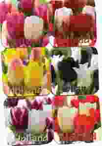 Onderzetters Tulpen 