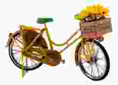 Fiets "Zonnebloemen"