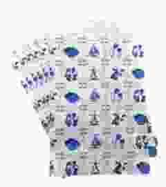 Papieren DB Modern Inpakzakjes Medium, Per 5