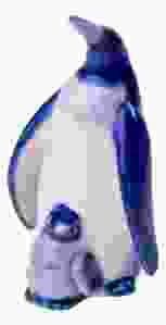 Miniatuur Pinguïn "Pieter"