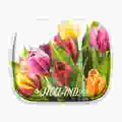 Pepermunt in blikje, Tulpenboeket