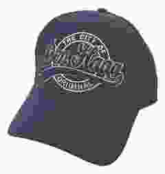 Pet Den Haag - The City Of 