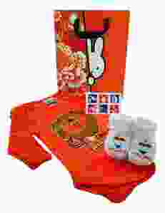 Baby Romper cadeauset "Oranje I Love Holland Leeuw"