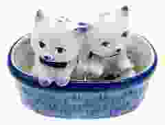 Peper & zout stel Poezen in mand