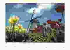 Postkaart "Rode/Gele Tulpen met Molen"