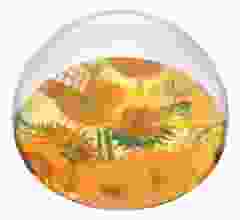 Presse Papier Bol Zonnebloemen