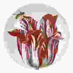 Presse Papier Bol "Vier Tulpen Met Insecten, Jacob Marrel"