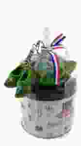 Regenboog Blikje - Stroopwafels met klompjes - Groen