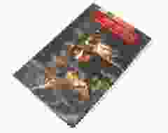 Brillendoekje, De Nachtwacht, Rembrandt