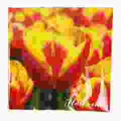 Servetten tulpen, geel 