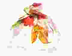 Sjaal Tulp Design, wit