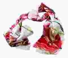 Sjaal Drie Tulpen, Maria Merian