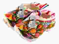 Set Tulpen Keramieken klompjes 10cm