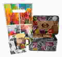 Cadeauset Tulpen Speculaas - Roze 