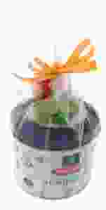 Stroopwafels met Tulp Magneet XL in Verpakking 