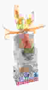 Mini stroopwafels in Nederlands Iconen zakje met Tulp magneet