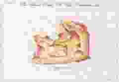 Postkaart "Appeltaart"