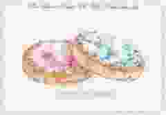 Postkaart "Beschuit met Muisjes"