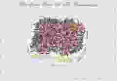 Postkaart "Brood met Hagelslag"