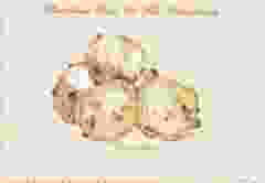 Postkaart "Oliebollen"