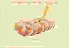 Postkaart "Poffertjes"