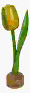 Tulp op houten voet, Geel  /Groen
