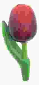 Magneet Houten Tulp Donker Rood/Rood, 8 cm