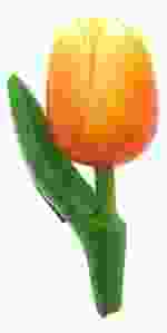 Magneet Houten Tulp Oranje/Wit, 8 cm