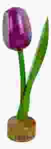 Tulp op houten voet, Paars / Wit